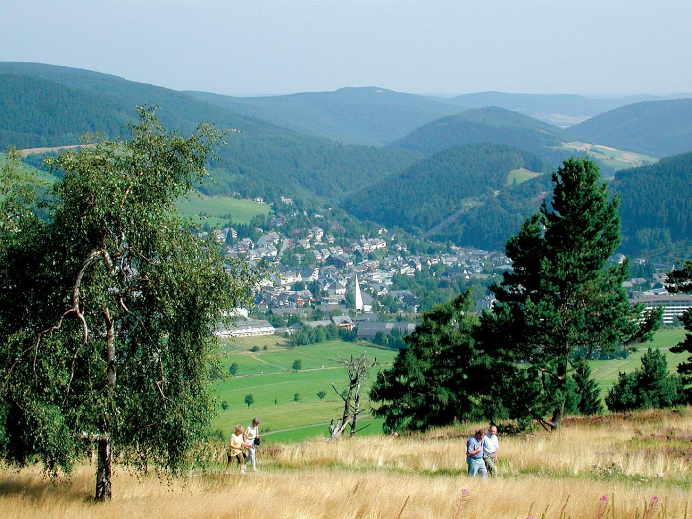 Chalet La Belle Willingen ヴィリンゲン エクステリア 写真